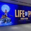 루루퍼피 | #167 (연극/뮤지컬) 라이프오프파이