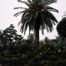 일출랜드식물원 이미지