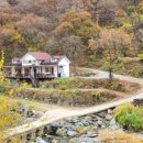 시내산펜션