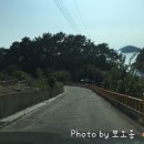 쉐이리코타키나 이미지