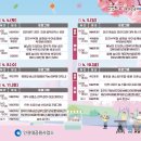 석남동주민센터 | 2026 인천 벚꽃 축제 명소 TOP 3! 일정부터 주차 꿀팁, 숨은 명소까지 추천