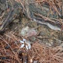 노치경로당 이미지