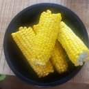 의성 초당옥수수 내돈내산 후기🌽🌽