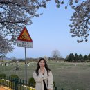 경주 휴에이 | 경주여행 1박2일 벚꽃 대릉원카페 슬랩트 황리단길 브런치