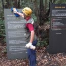 선흘리 백서향 및 변산일엽군락 이미지