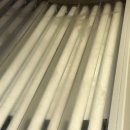 화이트 | 썬바디태닝 화이트태닝 후기 50회 내돈내산