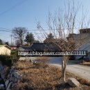 태일공인중개사사무소 이미지