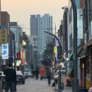 요기당 | 고성동소고기 고성동맛집 청춘소갈비 방문 후기