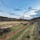 철탑 농장 이미지