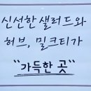 슬로우앤티