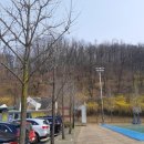 산본IC 체육공원 이미지