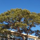 승산리 | 진주 K-기업가 정신센터 &amp; 지수 승산 부자마을