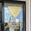 산토 | 그리스 산토리니 와이너리 “Santo Wines” 예약 방법 + 산토 와인 방문 후기(산토 와인 가는 방법)