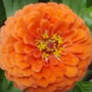 춘천호반체육관 이미지