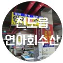 진도아리랑회센터 이미지