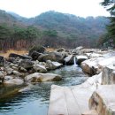 삼선7 이미지