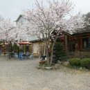 흥부네맛집 이미지