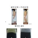 국제척추교정학회 이미지