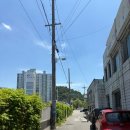 프츠 | [전남 순천 장천동 카페] 프츠