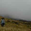 한라산 선작지왓 이미지