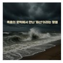 [파산 후기] 개인회생 절망을 명상으로 이겨낸 60대 박사의 인생 재건 (노목 소정원)