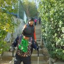 상신초등학교 정문 이미지