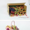 젤리조아 이미지