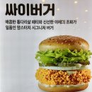 조화사 이미지