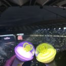9월 마지막주 주기 - 아이유 콘서트, 강아지, 코스트코, 갤러리아
