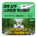 에스제이(SJ)환경 | [후기] 🌱 상주 스마트 혁신밸리 방문기 -에스제이 코코피트, 실증단지에서 성능 검증 중!