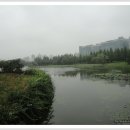 부안교 - 양평군 | 부안교