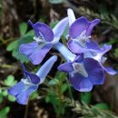 세조의원 이미지