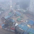 포항운하송림시장 이미지