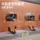 영월창령사지 | 국립춘천박물관 오백나한 브랜드실 오대산 월정사 특별전 관람후기