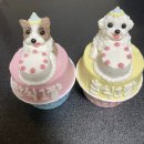 해피퍼피스데이 | [대구 수성구/ 황금동 수제간식] 해피퍼피스데이🐶🍰