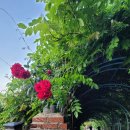 절영산책로 관리동 | 남파랑길2코스일부(22.05.14)