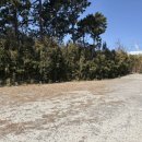 해동식당 | 울산 동구 애견동반식당 원조해동중화요리 내돈내산 후기