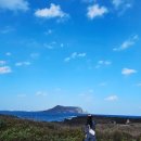 (주)삼다도관광 | 제주 서귀포 가볼 만한 곳 겨울 제주도 여행 아쿠아 플라넷 제주 티켓 할인 정보