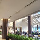 그곳에 호텔 | 파라다이스 호텔 부산 호캉스 씨메르·풀장 후기