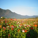 황산공원 이미지