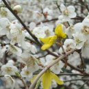 가좌근린공원 이미지