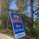 청남대 가을국화축제 소식 2탄!! (후기)