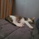 재송동물병원 이미지