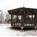 용인정신병원 이미지