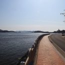 솔향기은빛바다펜션 이미지