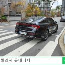 새들브라운 이미지