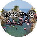 조개시장 이미지