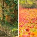 평지경로회관 이미지