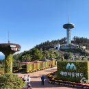 완도타워 이미지