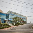 인천경서동녹청자요지 Daum카페